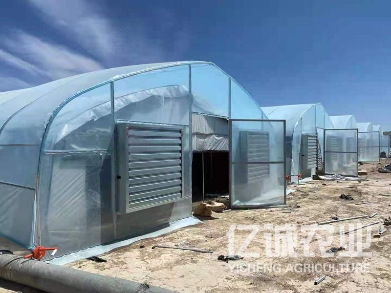 雙拱薄膜溫室大棚結構及優(yōu)點可配置計算機自動控制系統 好管理